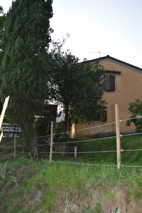 Vila La Casa Sui Colli Uzzano Exteriér fotografie