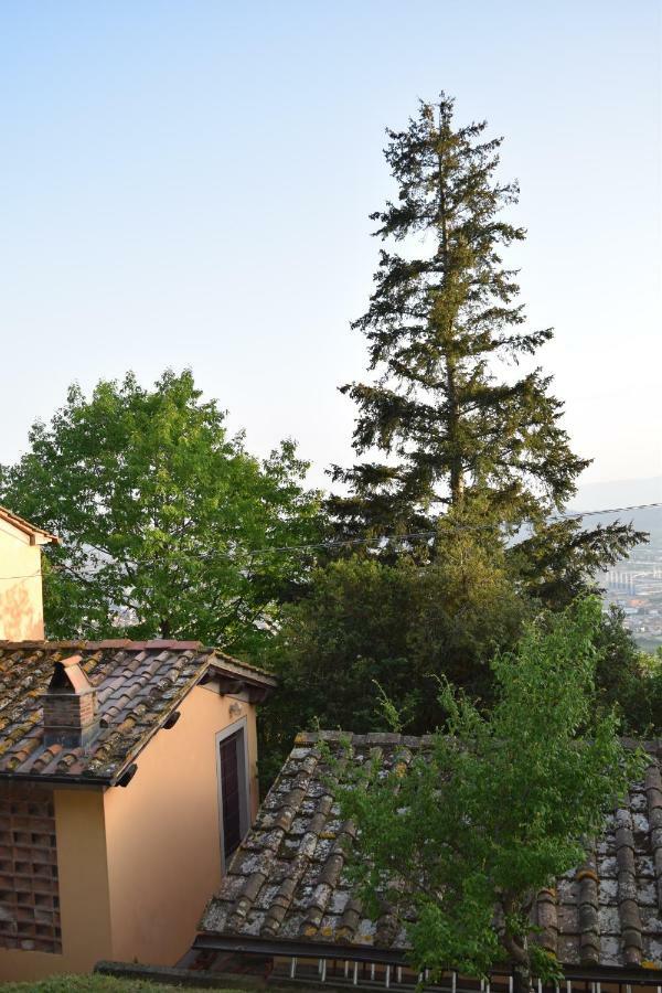 Vila La Casa Sui Colli Uzzano Exteriér fotografie